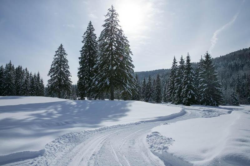 Tale Apartman 9, Lucnica, Chopok Juh Exteriör bild